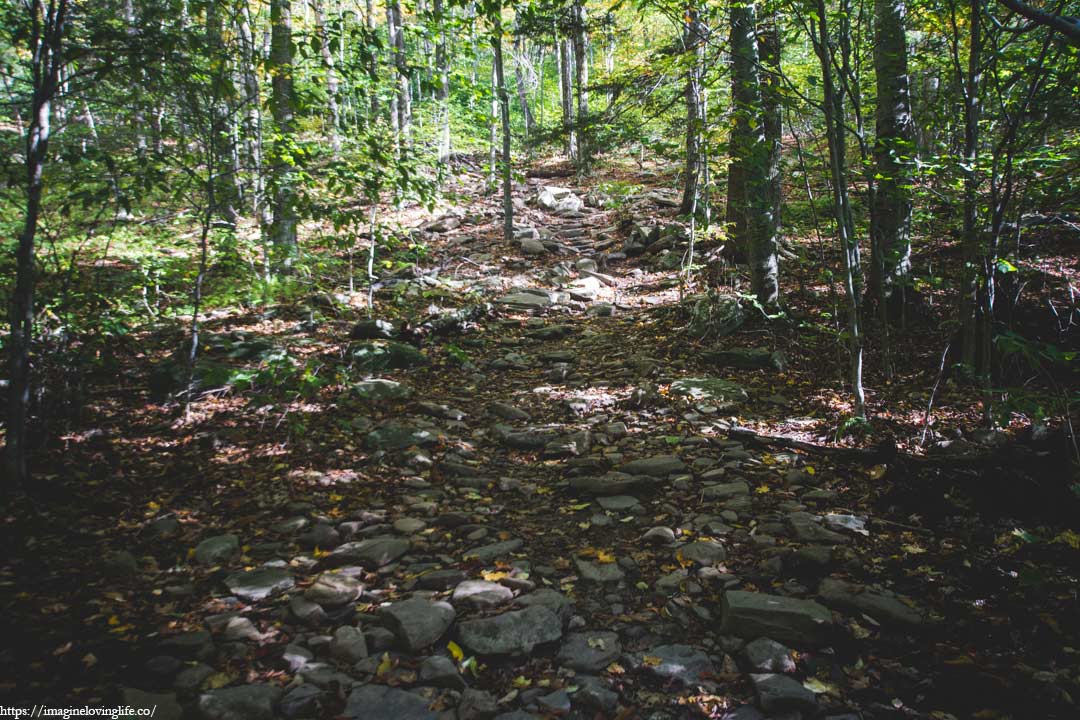 yellow trail ascent